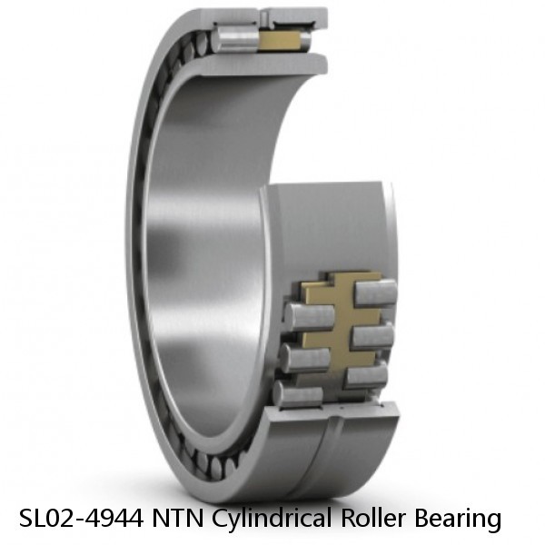 SL02-4944 NTN Cylindrical Roller Bearing