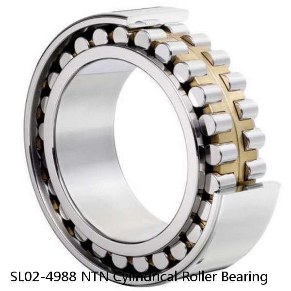 SL02-4988 NTN Cylindrical Roller Bearing