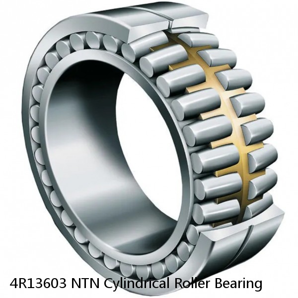 4R13603 NTN Cylindrical Roller Bearing