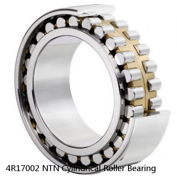 4R17002 NTN Cylindrical Roller Bearing