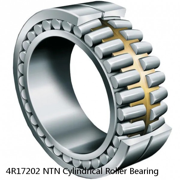 4R17202 NTN Cylindrical Roller Bearing