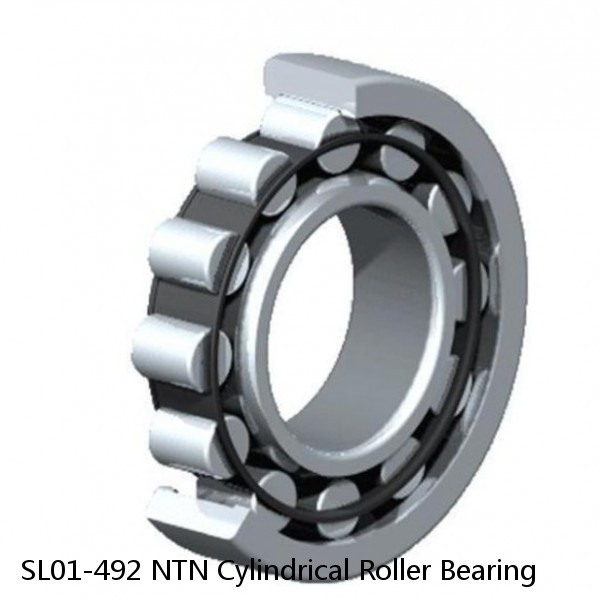 SL01-492 NTN Cylindrical Roller Bearing