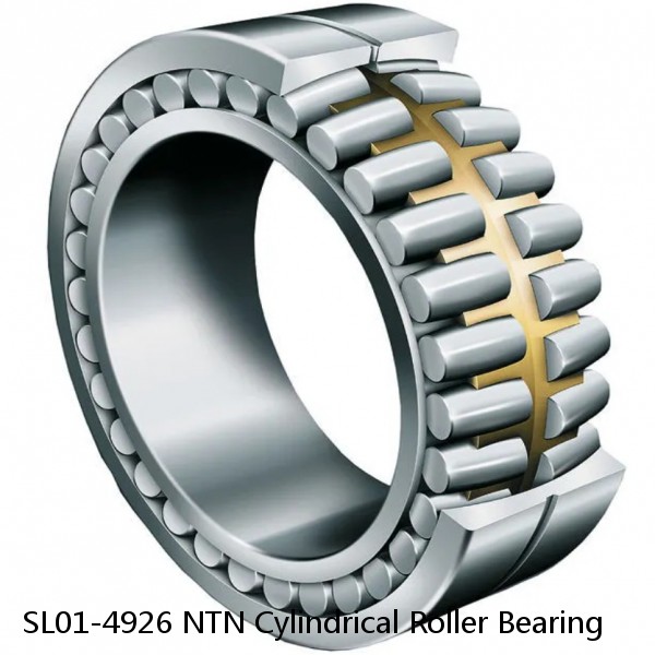 SL01-4926 NTN Cylindrical Roller Bearing