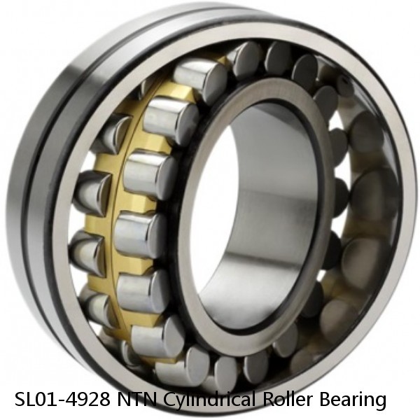 SL01-4928 NTN Cylindrical Roller Bearing