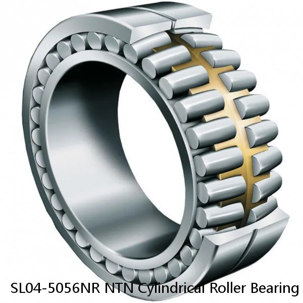 SL04-5056NR NTN Cylindrical Roller Bearing