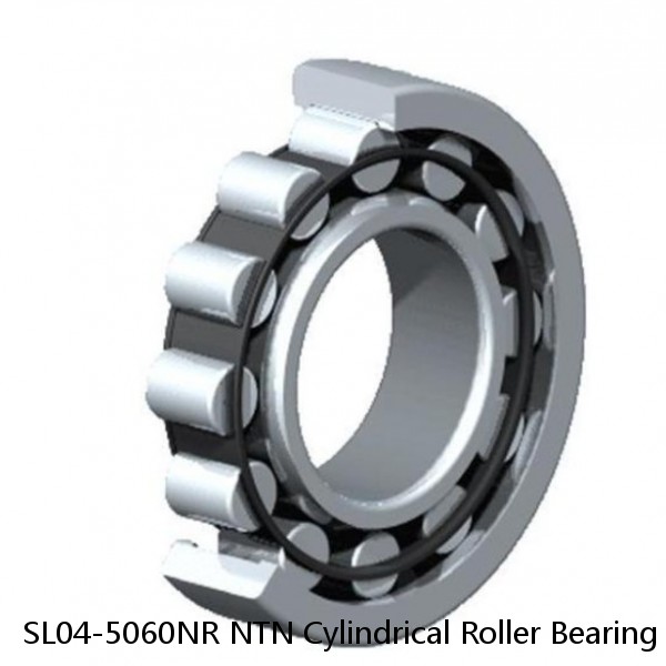 SL04-5060NR NTN Cylindrical Roller Bearing