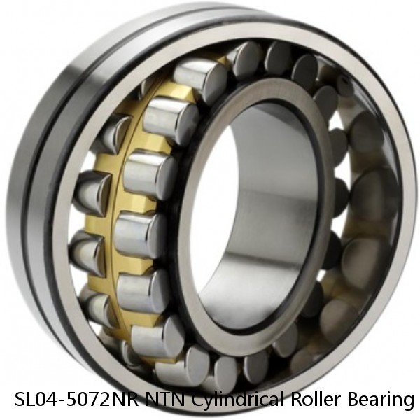 SL04-5072NR NTN Cylindrical Roller Bearing