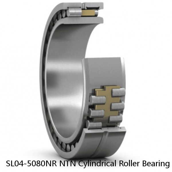 SL04-5080NR NTN Cylindrical Roller Bearing